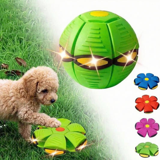 Active Play | Dog Frisbee Flying Disc with High-Flyer Design ? Durable Toy for Outdoor Fetch Fun 0