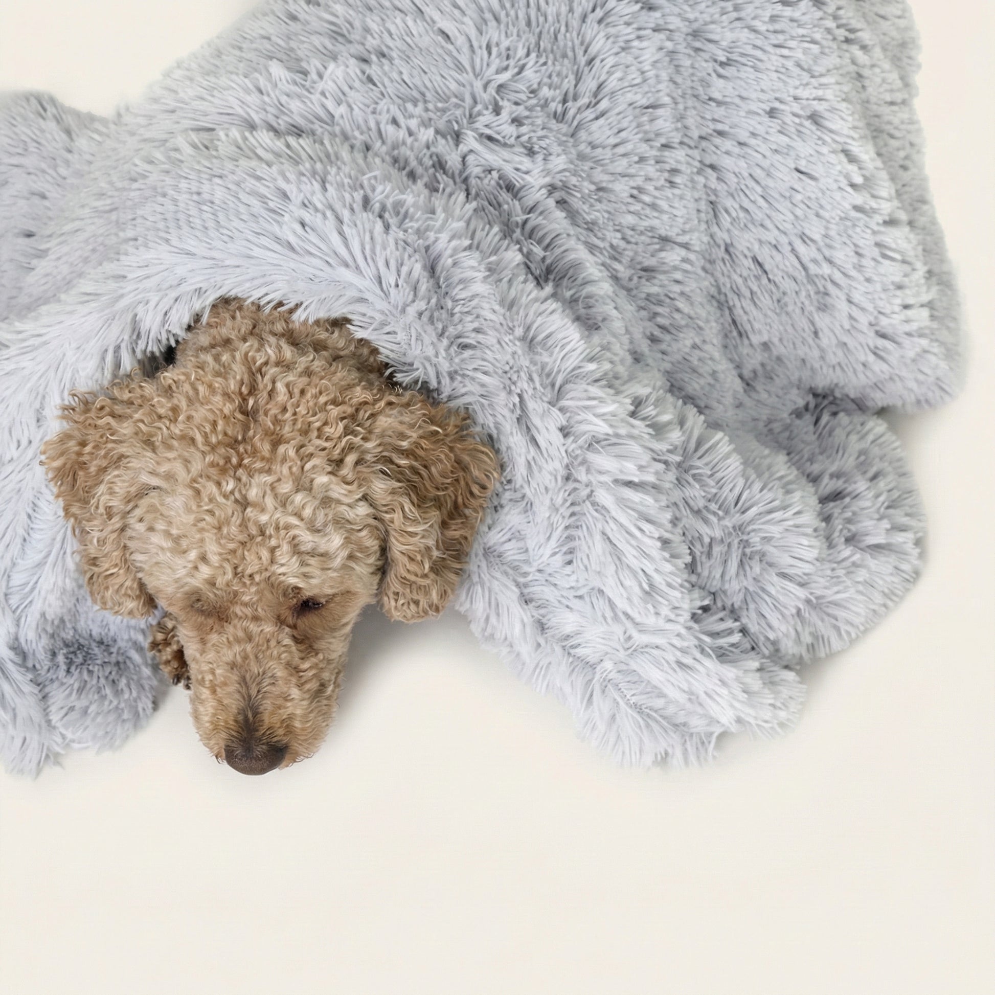 Comfort Haven | Dog Blanket for Couch with Ultra Soft Vegan Fur ? Anxiety Relief for Cozy Relaxation 2
