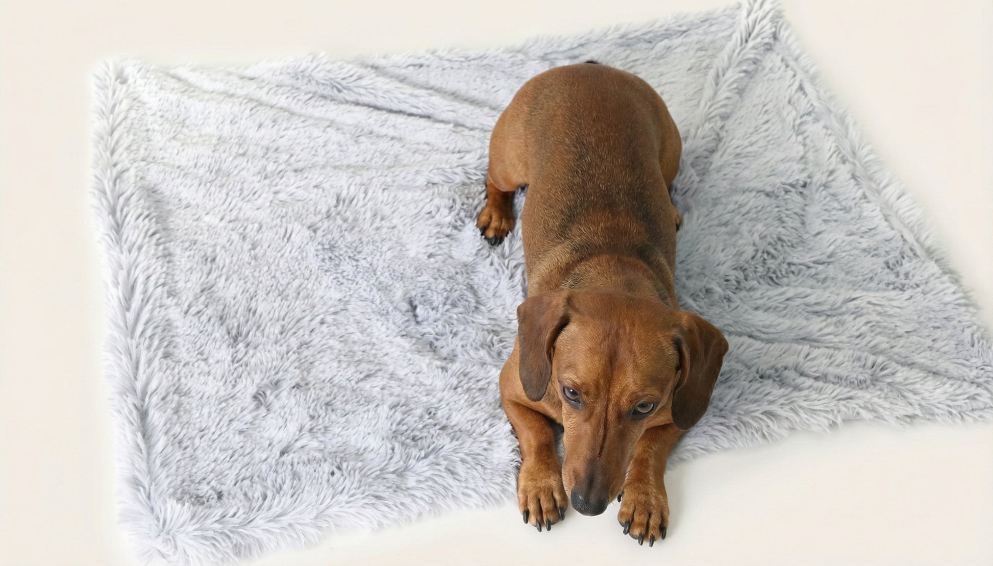 Comfort Haven | Dog Blanket for Couch with Ultra Soft Vegan Fur ? Anxiety Relief for Cozy Relaxation 3