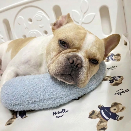 Comfort Haven | Dog Pillow Bed with Anti-Anxiety Design ? Machine Washable for Ultimate Comfort 0
