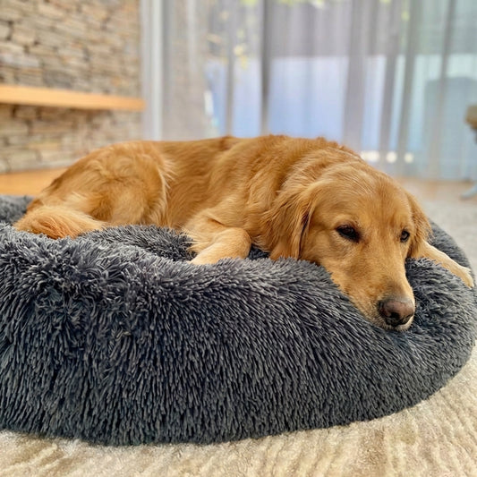 Comfort Haven | Indestructible Dog Bed with Chew-Proof Material ? Orthopedic Support for Ultimate Relaxation 0