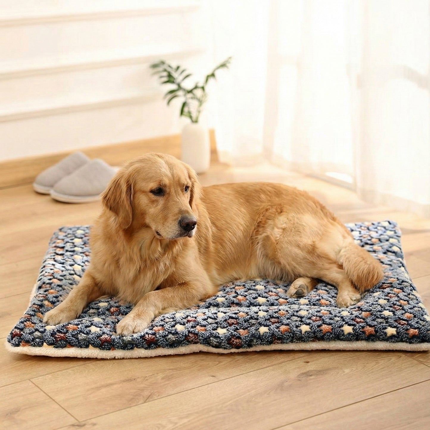 Cozy Collection | Dog Blanket for Couch with Padded Comfort ? Stylish Design for Stress Relief 1