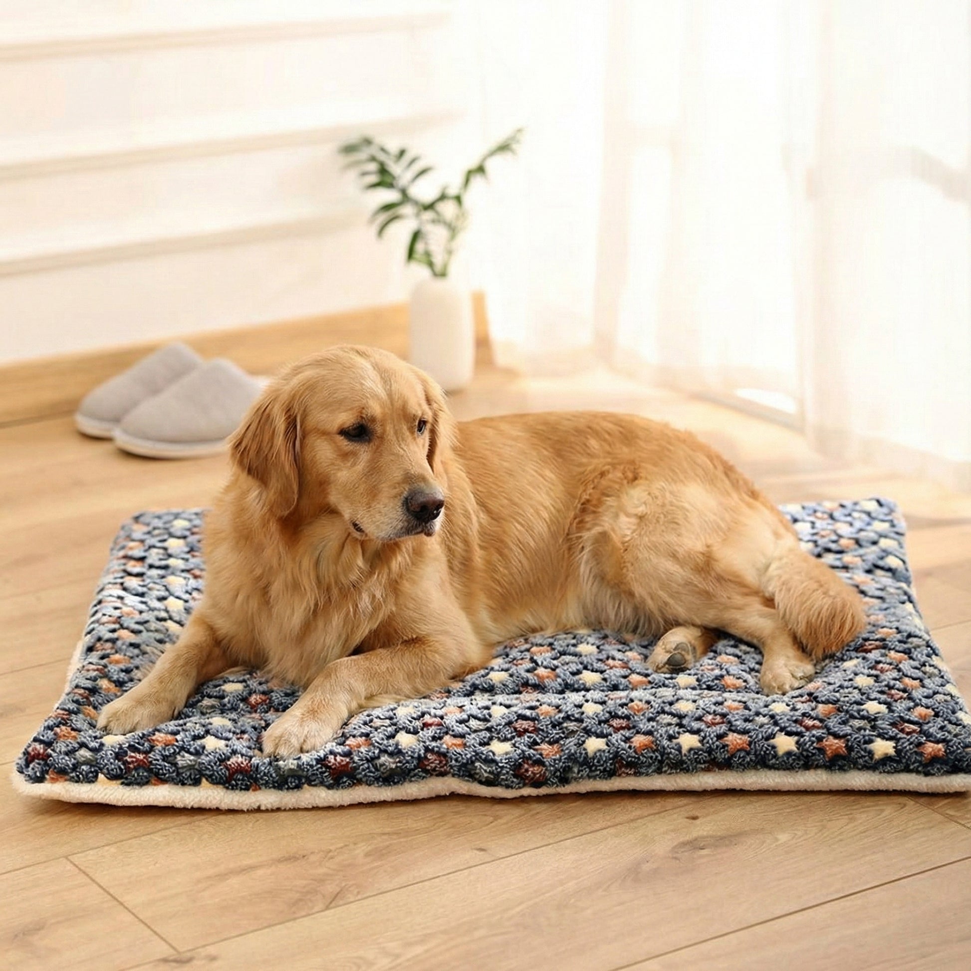 Cozy Collection | Dog Blanket for Couch with Padded Comfort ? Stylish Design for Stress Relief 1