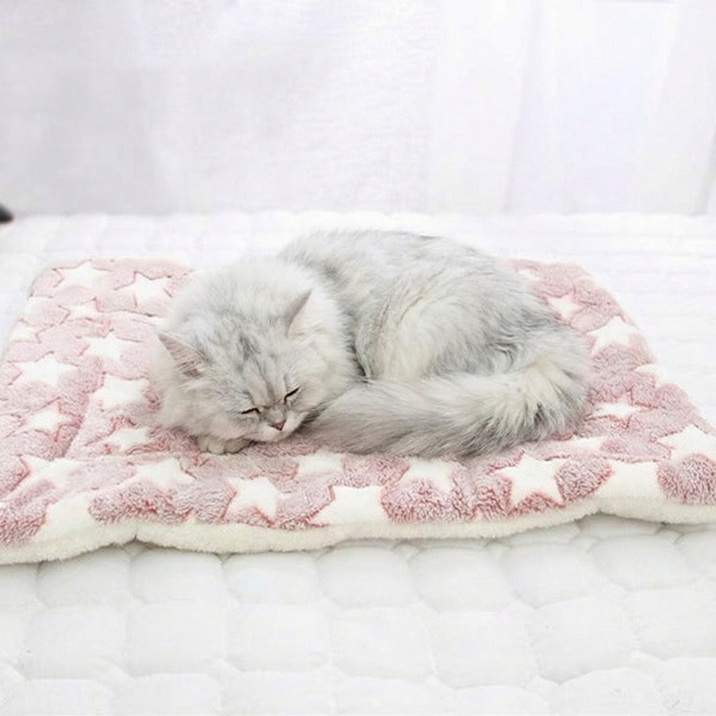 Cozy Collection | Dog Blanket for Couch with Padded Comfort ? Stylish Design for Stress Relief 2