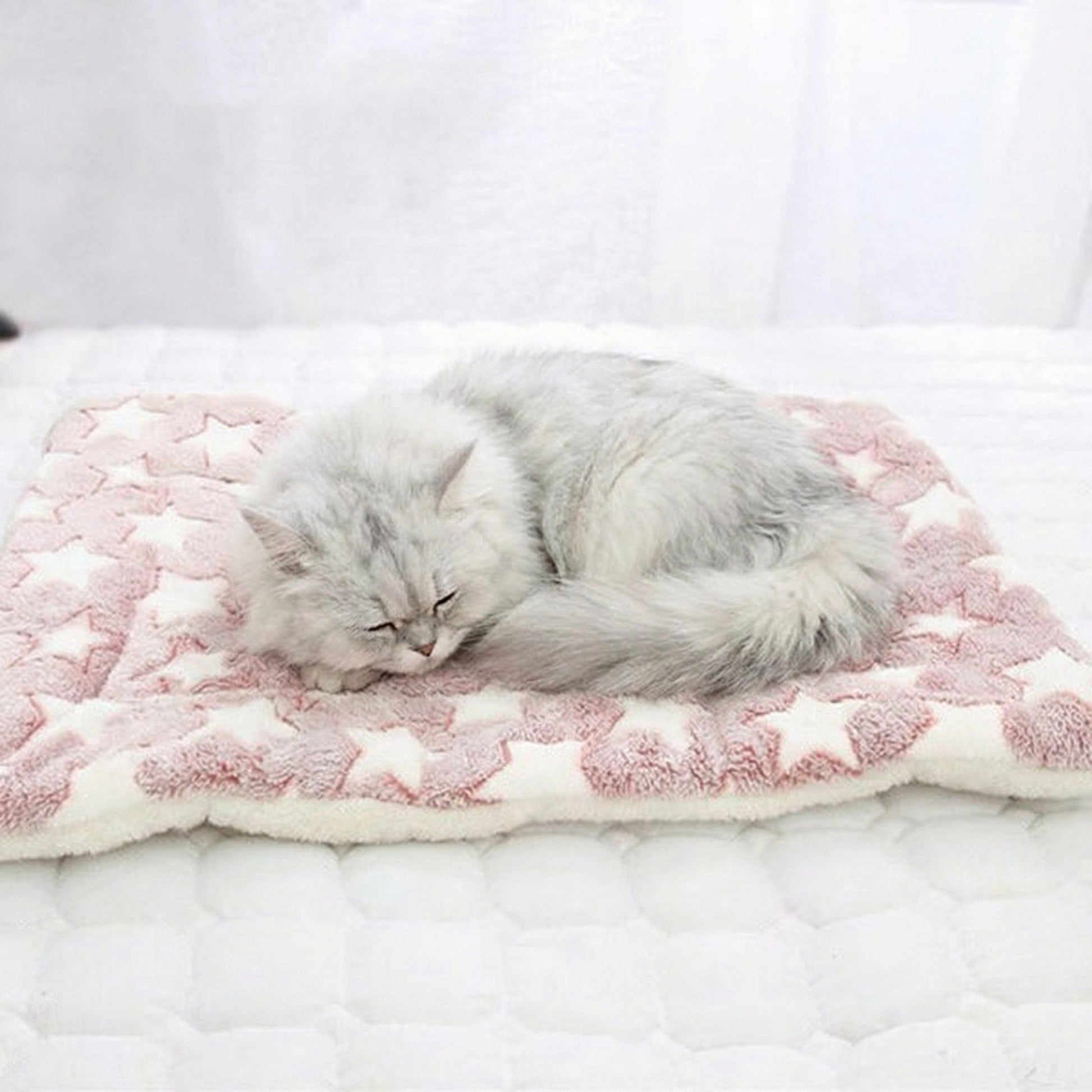 Cozy Collection | Dog Blanket for Couch with Padded Comfort ? Stylish Design for Stress Relief 2