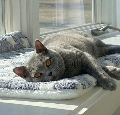 Cozy Collection | Dog Blanket for Couch with Padded Comfort ? Stylish Design for Stress Relief 5