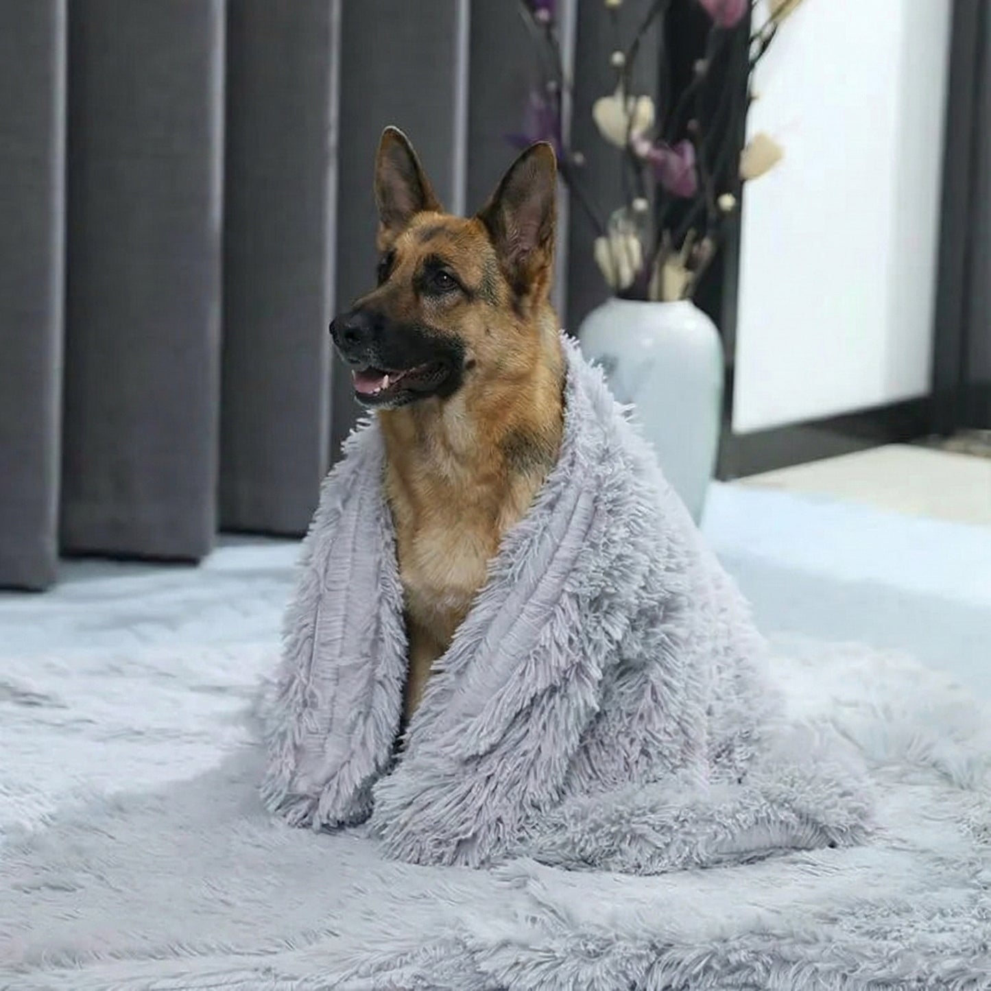 Cozy Essentials | Dog Blanket for Couch with Soft Fleece Material ? Ultimate Comfort for Pets 0