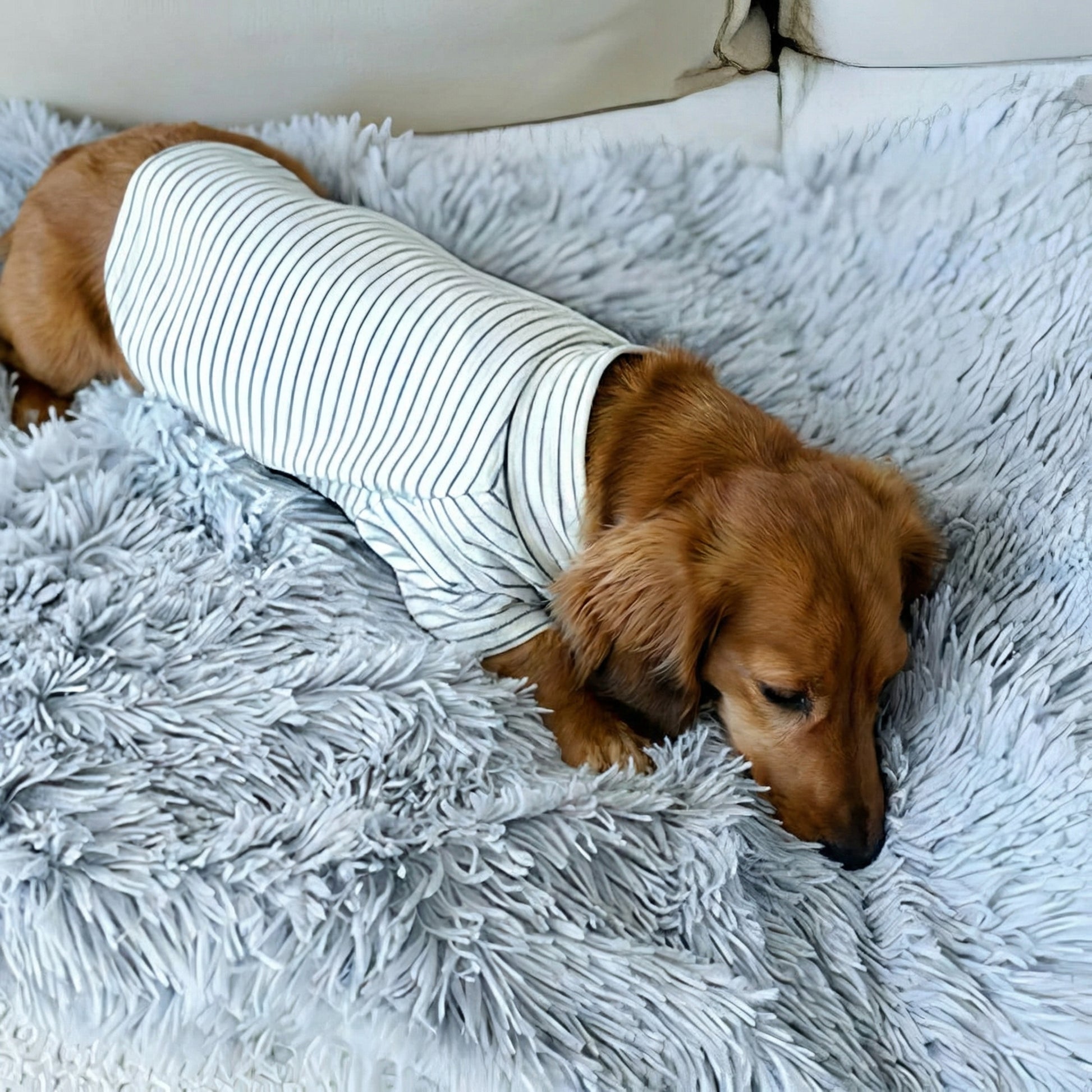 Cozy Essentials | Dog Blanket for Couch with Soft Fleece Material ? Ultimate Comfort for Pets 1