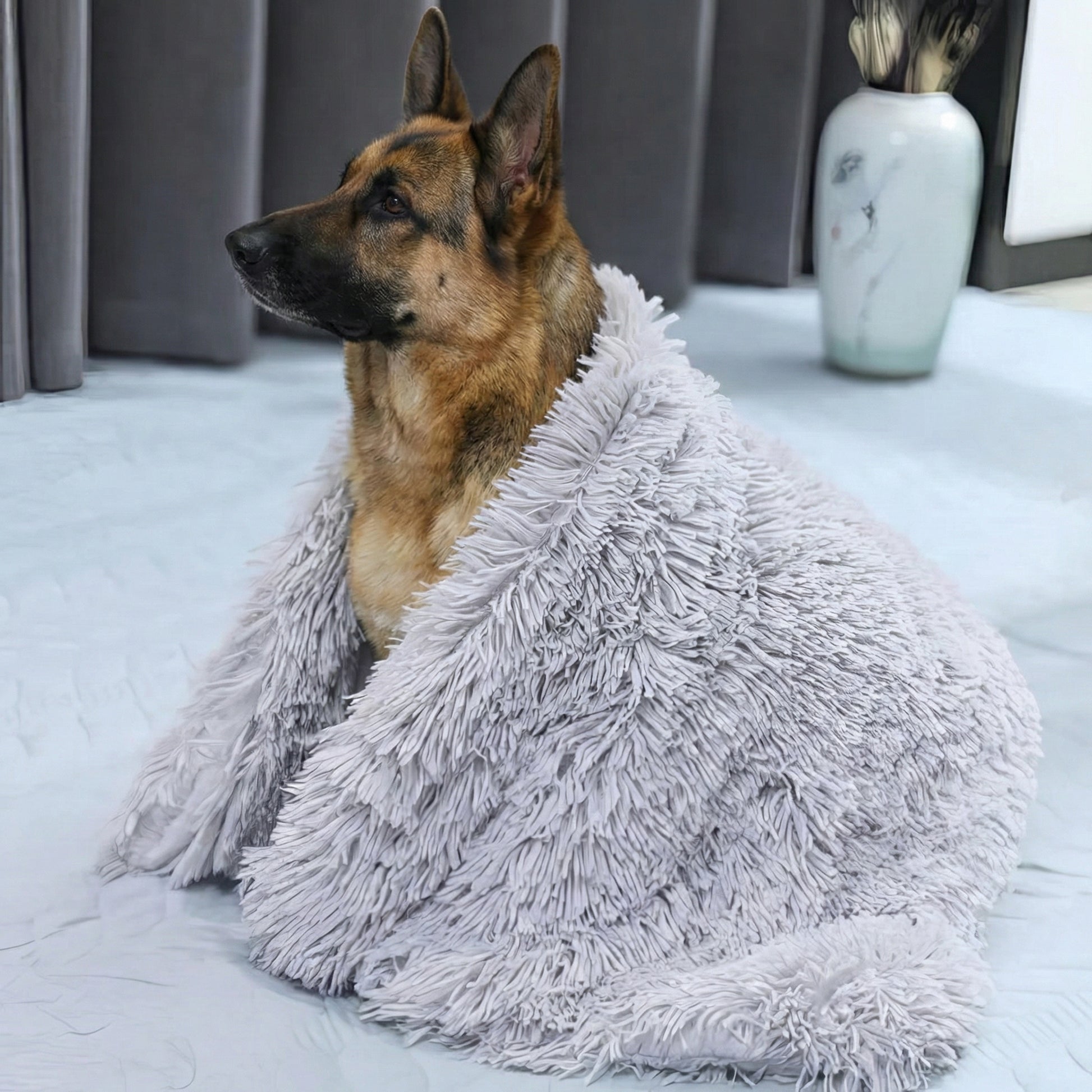 Cozy Essentials | Dog Blanket for Couch with Soft Fleece Material ? Ultimate Comfort for Pets 2