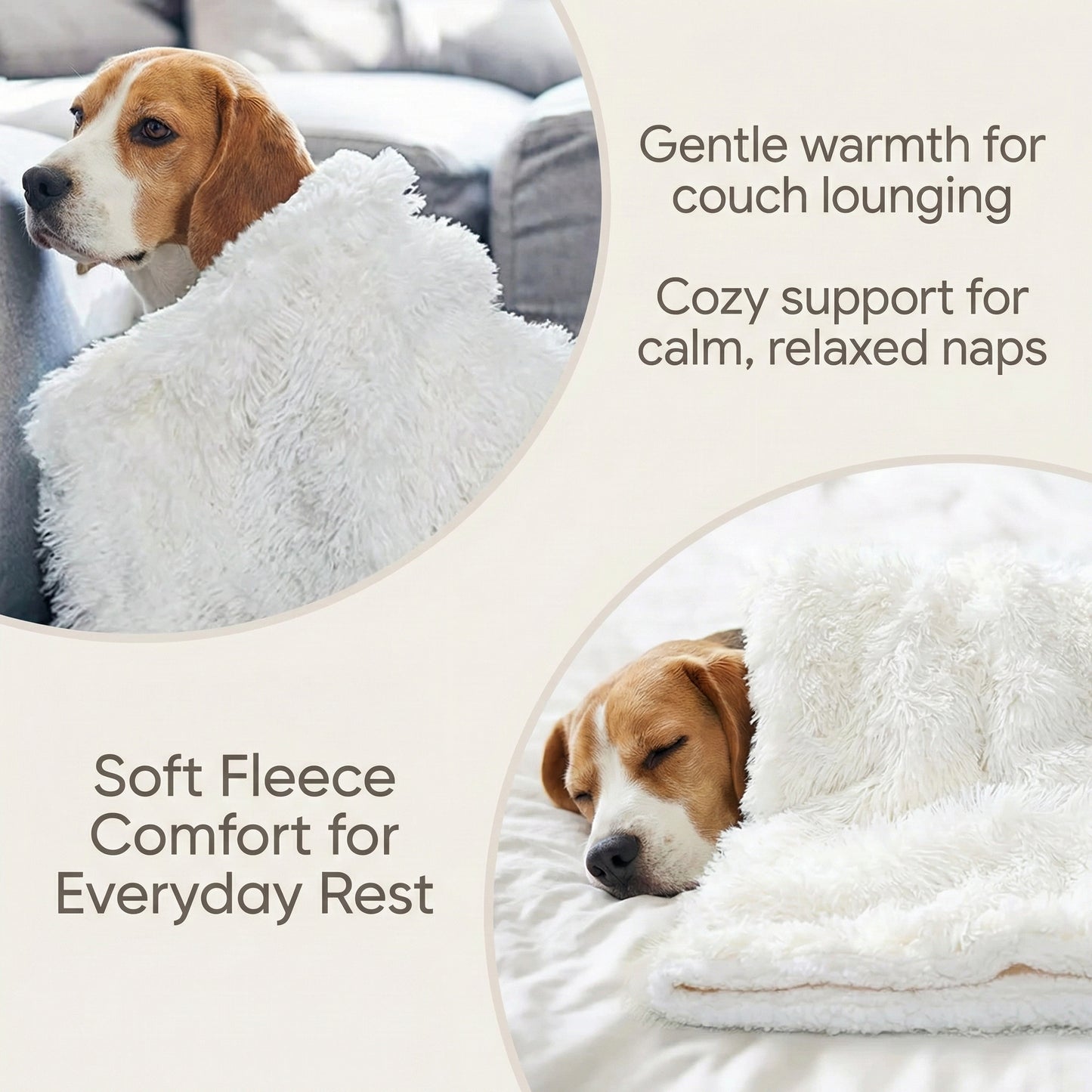Cozy Essentials | Dog Blanket for Couch with Soft Fleece Material ? Ultimate Comfort for Pets 3