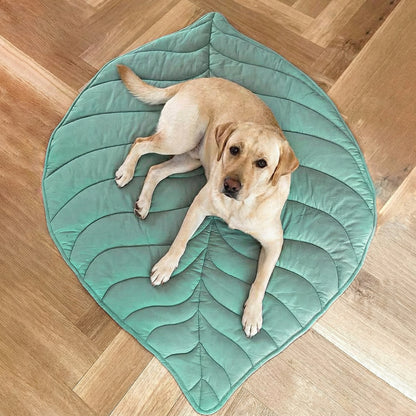 Cozy Leaf Shape Dog Blanket Mat with Soft Fabric ? Stylish Comfort for Pets 1