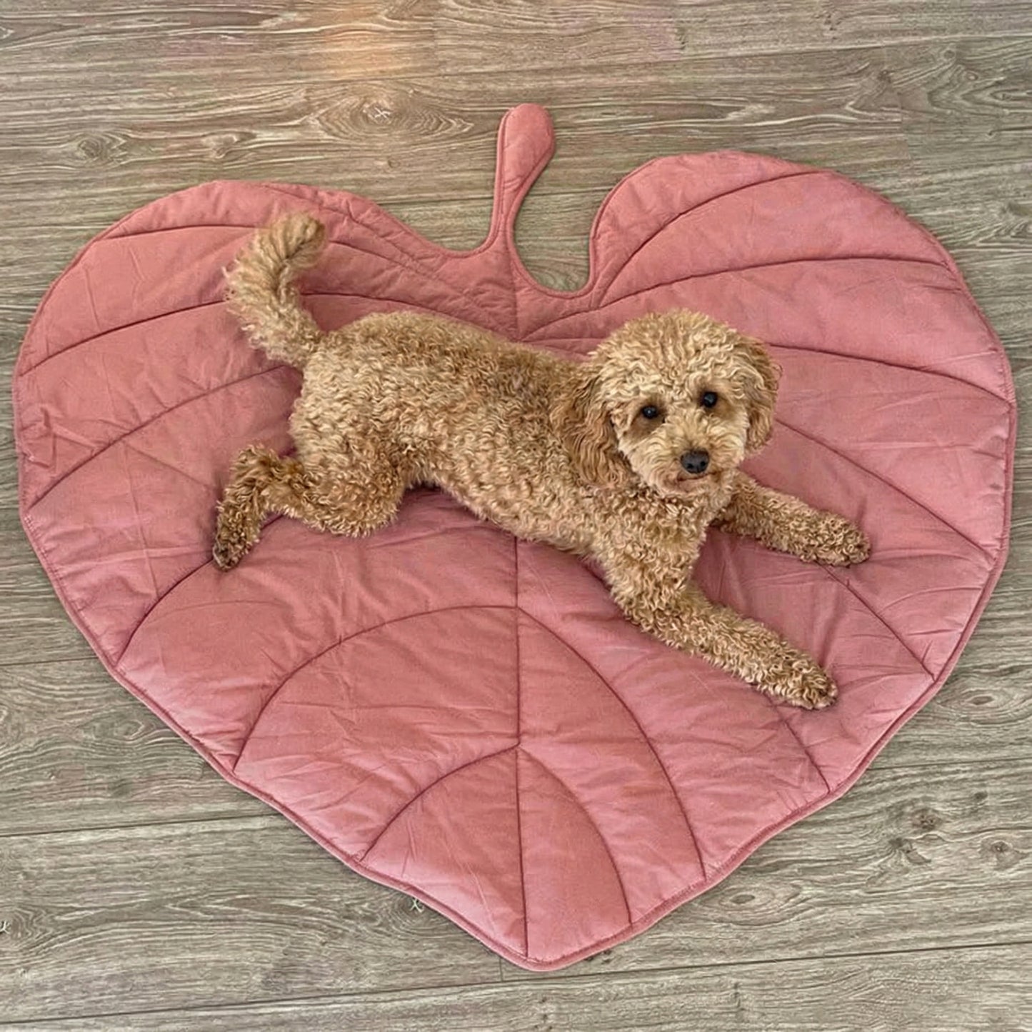Cozy Leaf Shape Dog Blanket Mat with Soft Fabric ? Stylish Comfort for Pets 2
