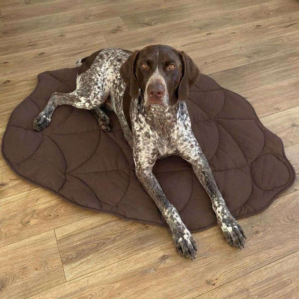 Cozy Leaf Shape Dog Blanket Mat with Soft Fabric ? Stylish Comfort for Pets 4