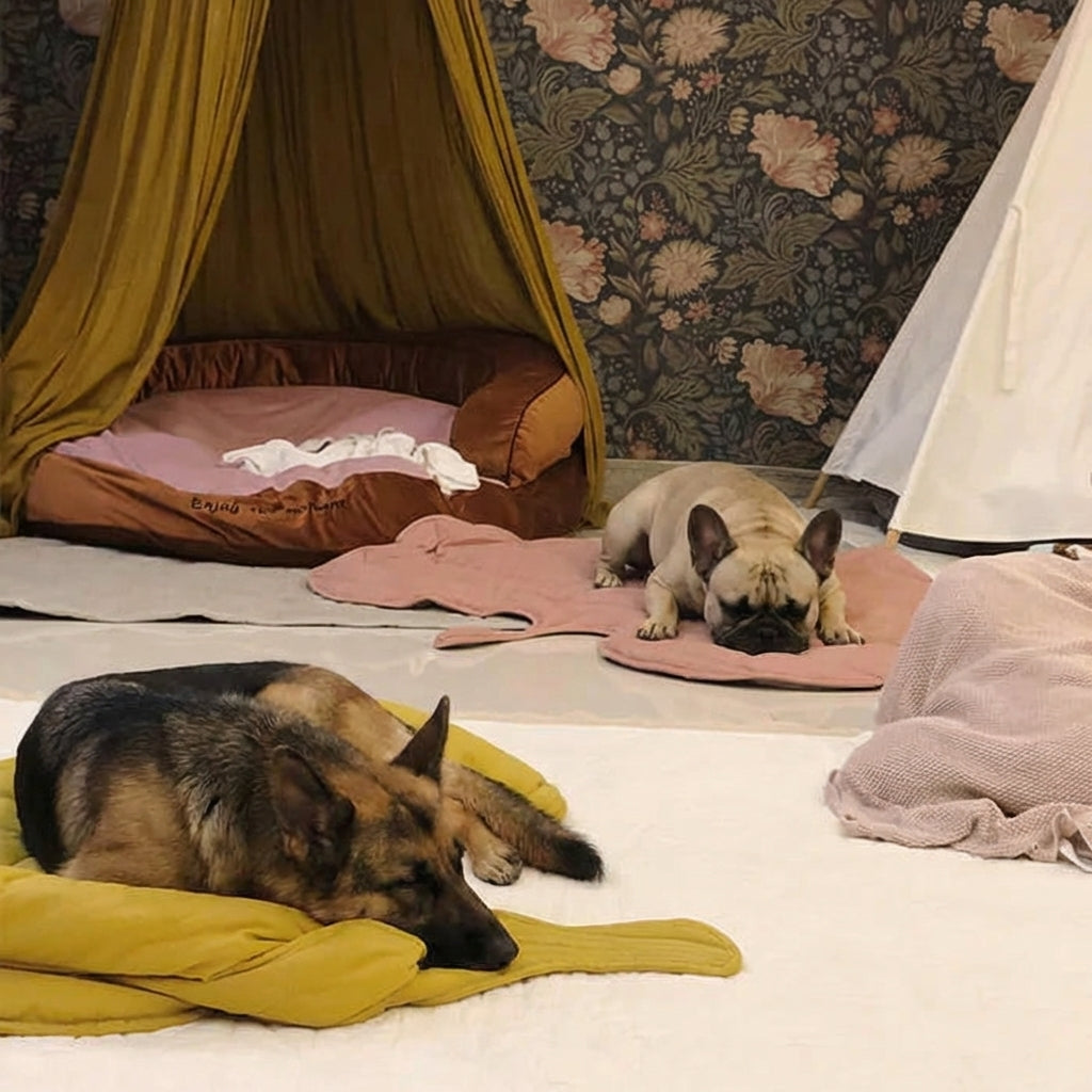 Cozy Leaf Shape Dog Blanket Mat with Soft Fabric ? Stylish Comfort for Pets 5