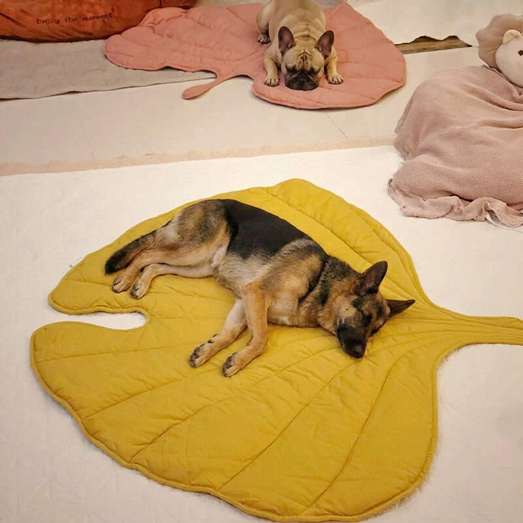 Cozy Leaf Shape Dog Blanket Mat with Soft Fabric ? Stylish Comfort for Pets 6
