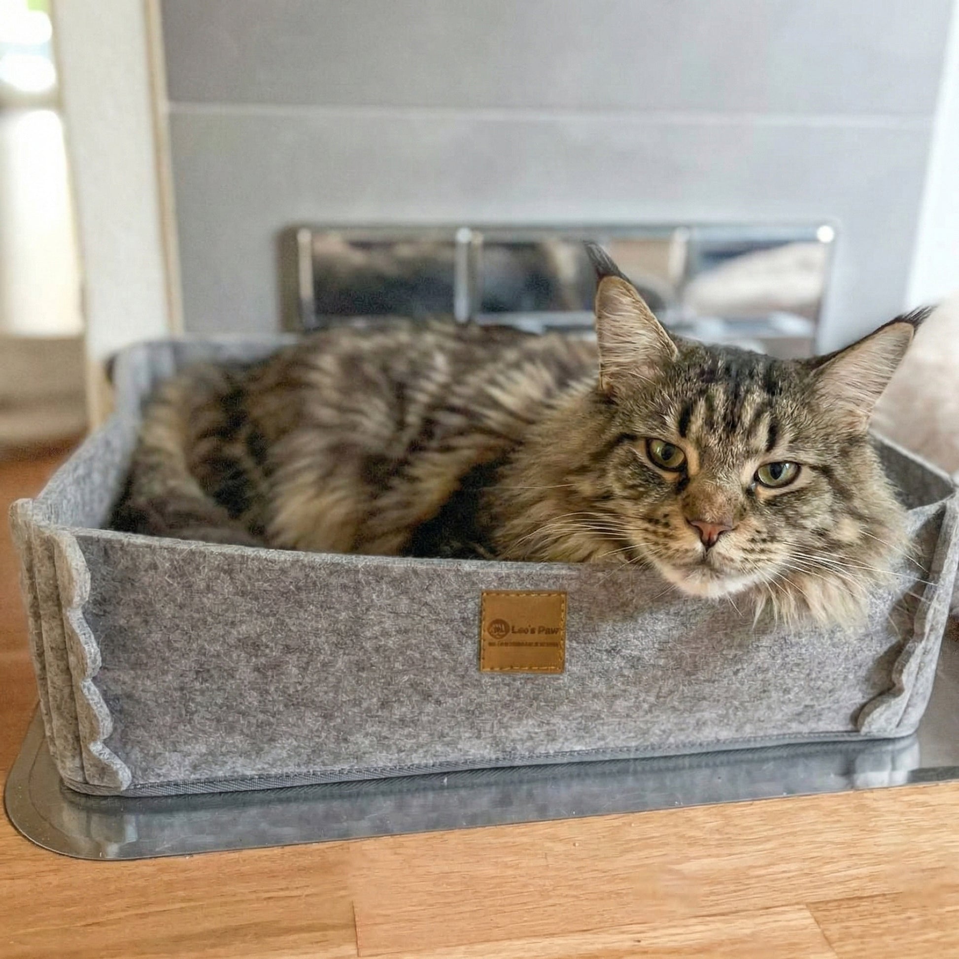 Feline Haven | Cat Bed with 2-in-1 Scratcher & Raised Sides ? Stylish Comfort for Ultimate Relaxation 0
