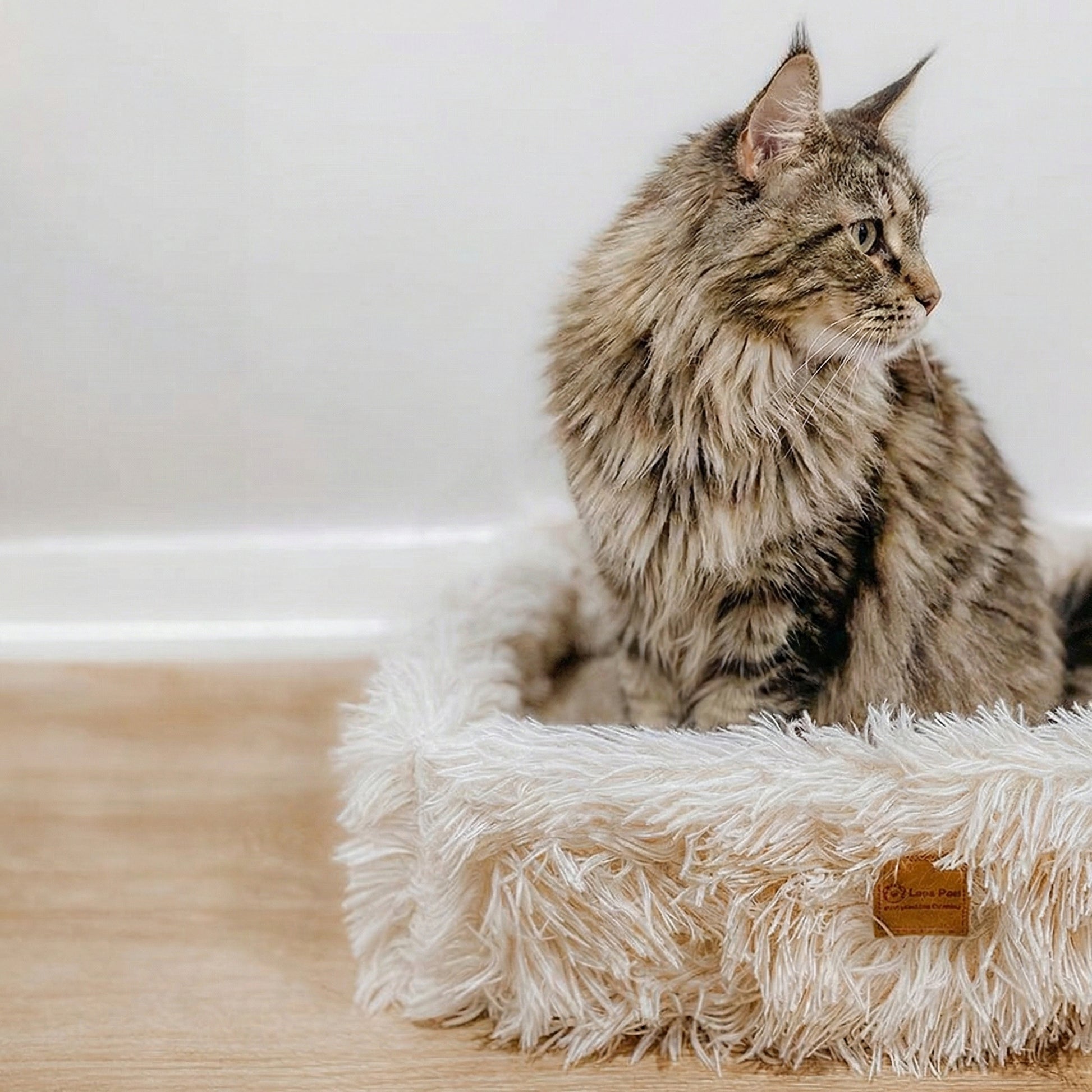 Feline Haven | Cat Bed with 2-in-1 Scratcher & Raised Sides ? Stylish Comfort for Ultimate Relaxation 6
