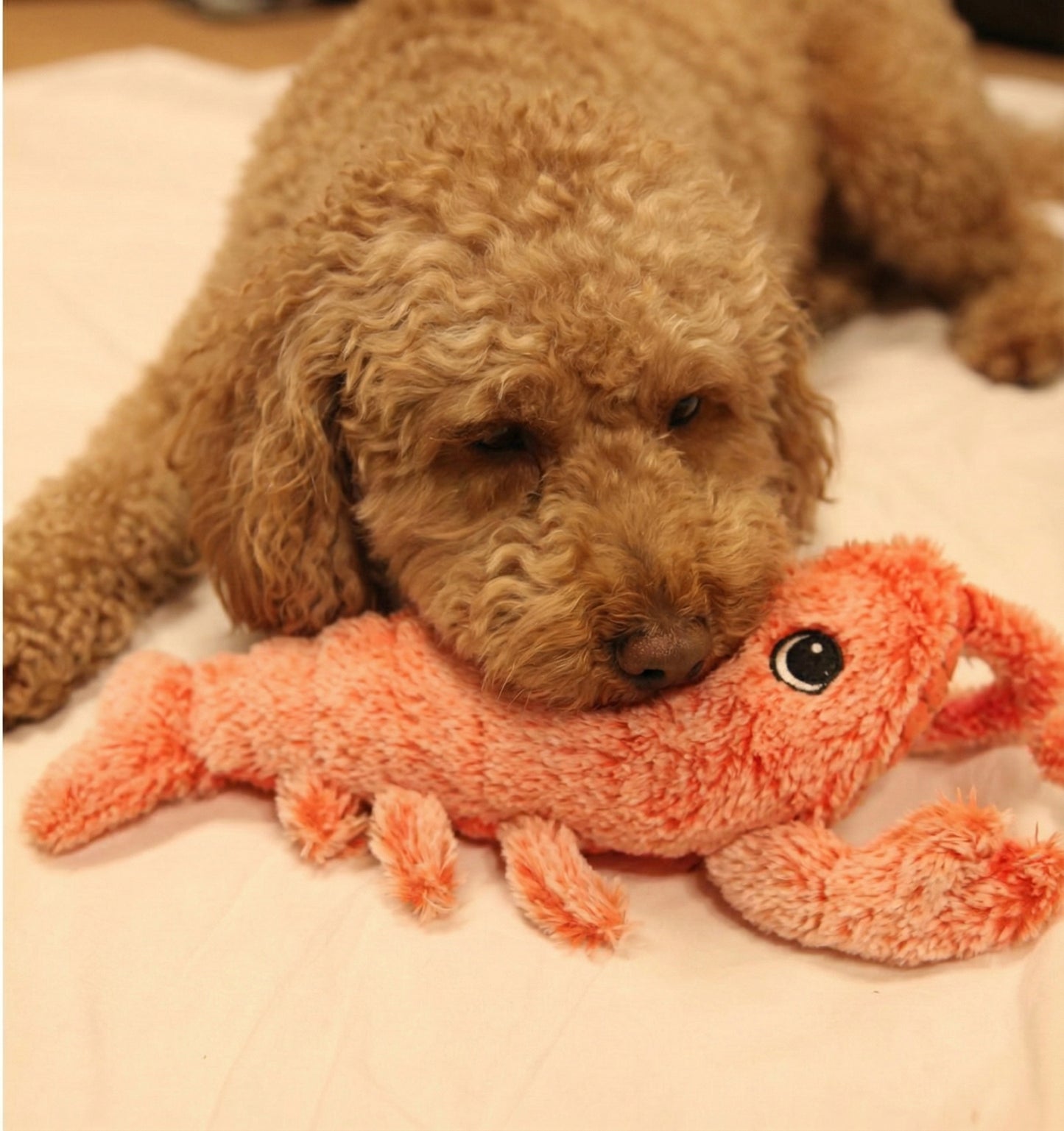 Floppy Lobster | Interactive Dog Toy with Durable Design ? Engaging Play for Stress Relief 3