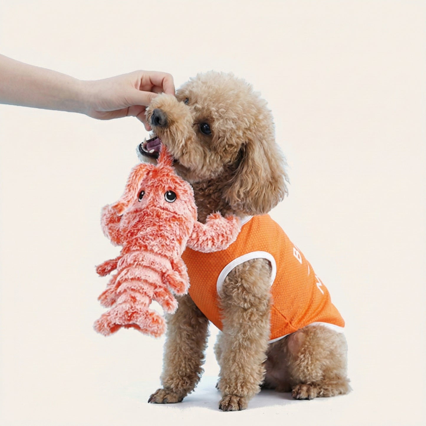 Floppy Lobster | Interactive Dog Toy with Durable Design ? Engaging Play for Stress Relief 4