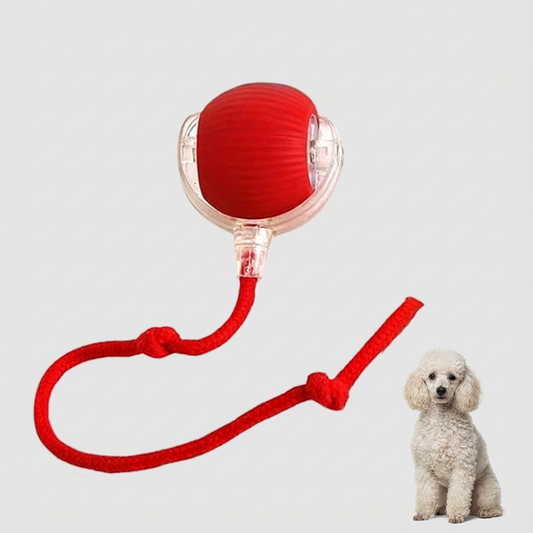 PawMate Automatic Dog Walker for All Breeds with Fast USB-C Charging | Indoor Exercise Solution for Active Pets 0