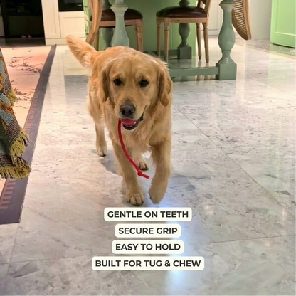 PawMate Automatic Dog Walker for All Breeds with Fast USB-C Charging | Indoor Exercise Solution for Active Pets 4