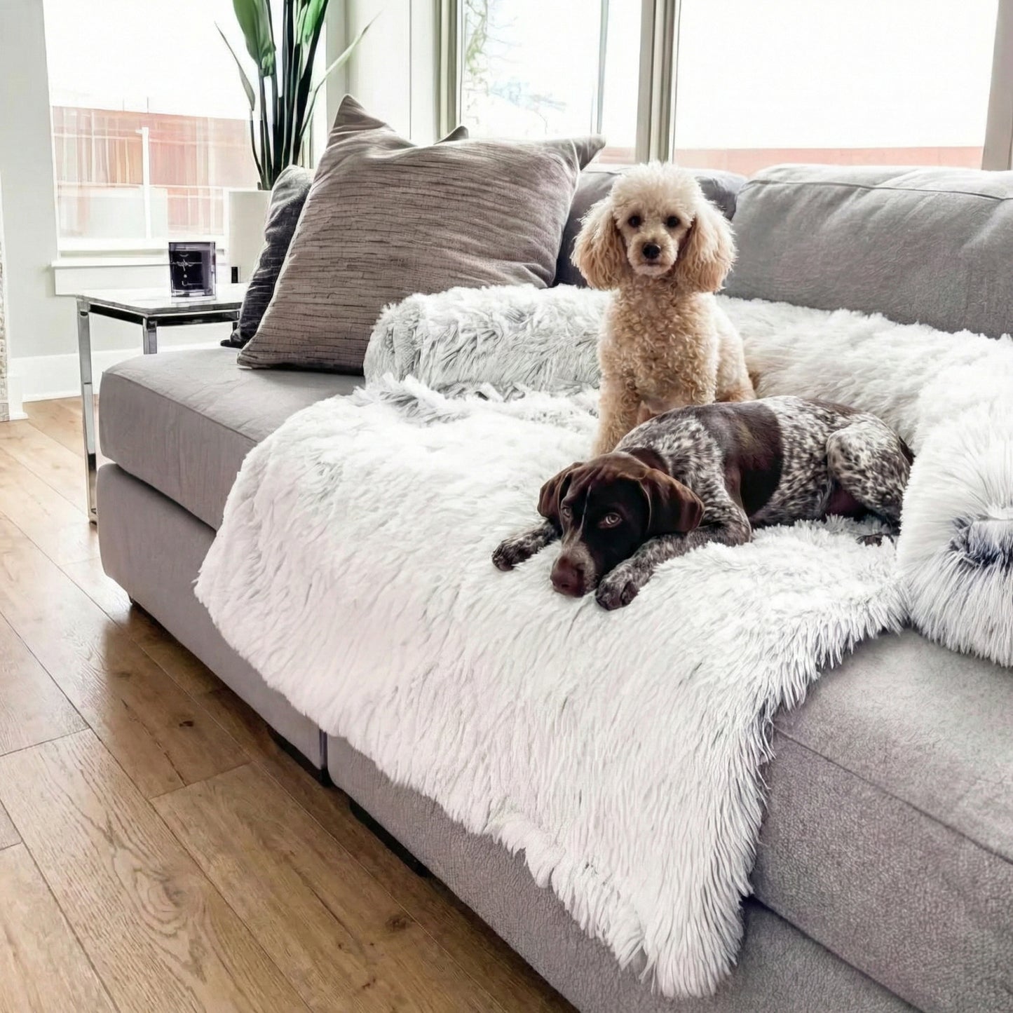 Pet Haven | Waterproof Dog Sofa Cover with Stylish Design ? Ultimate Protection for Furniture 5