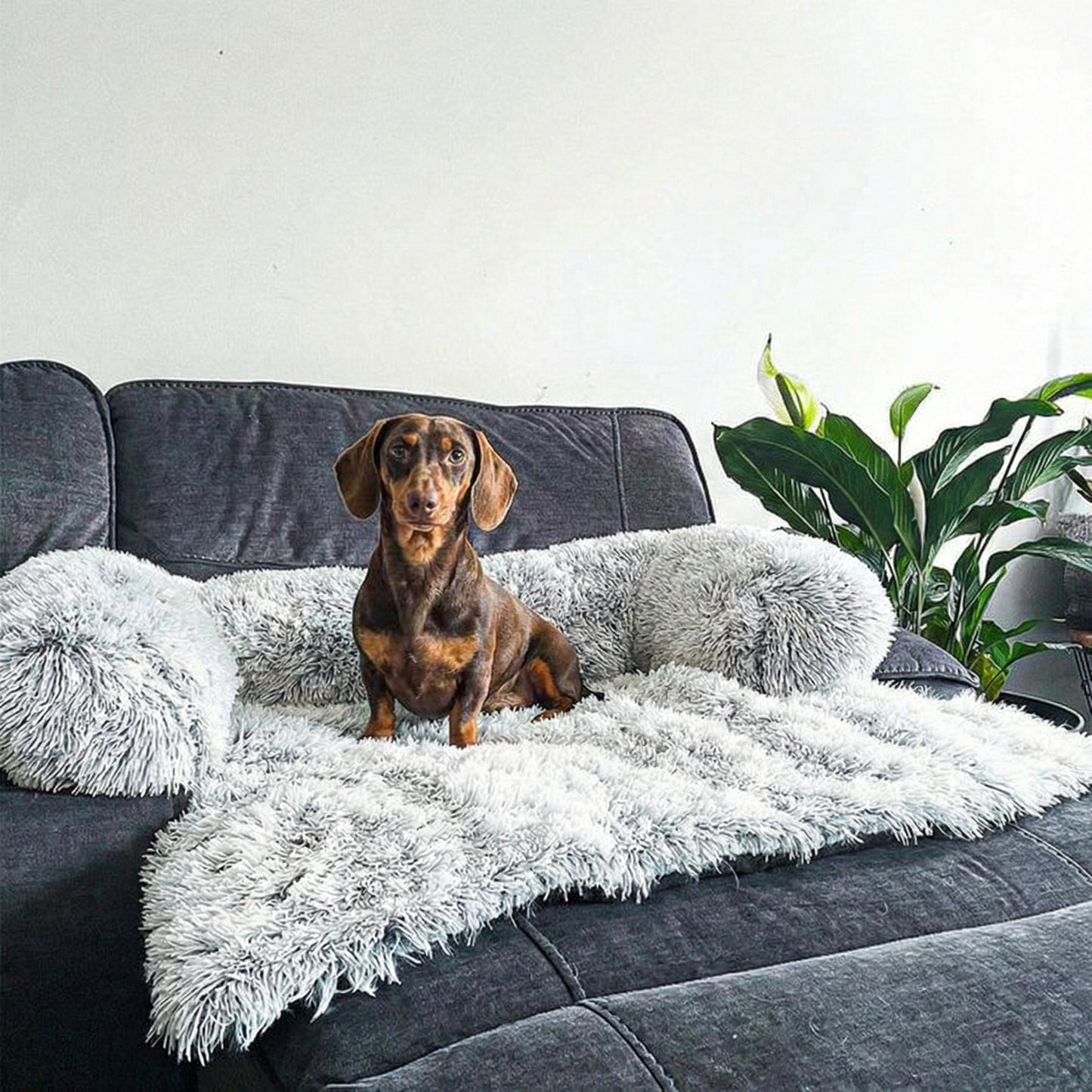 Pet Haven | Waterproof Dog Sofa Cover with Stylish Design ? Ultimate Protection for Furniture 7