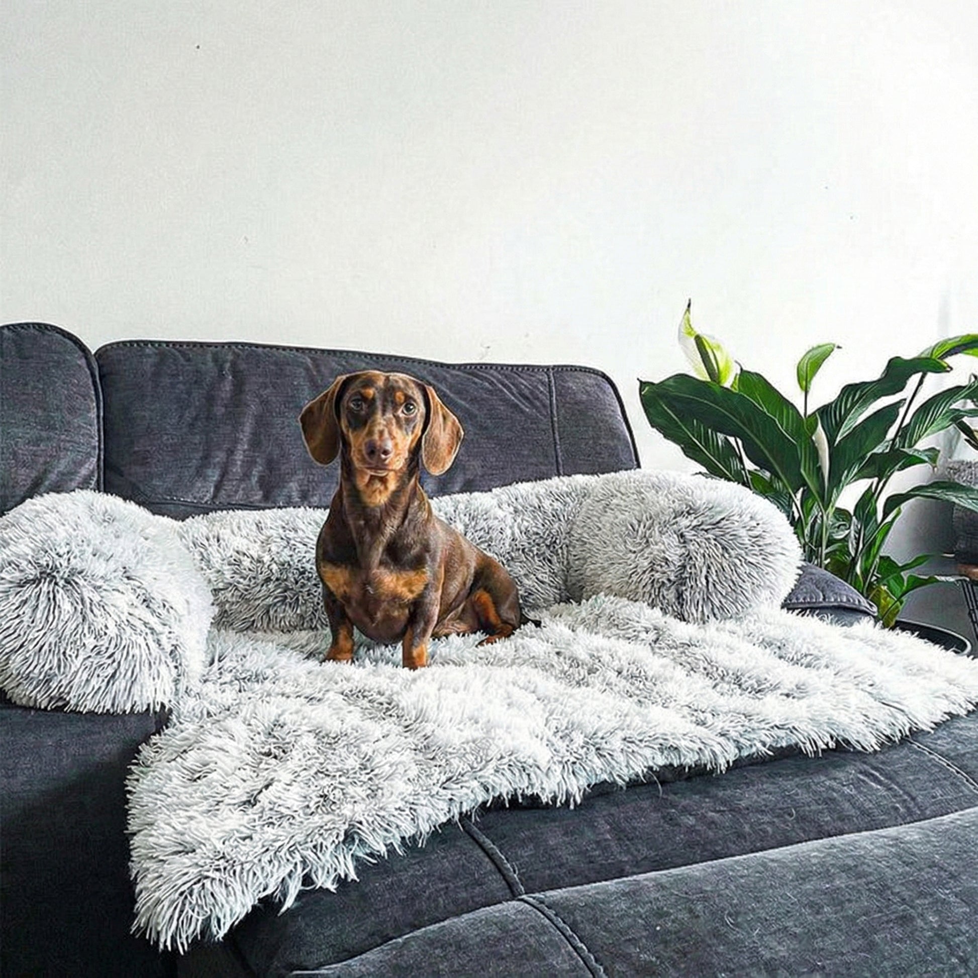 Pet Haven | Waterproof Dog Sofa Cover with Stylish Design ? Ultimate Protection for Furniture 7