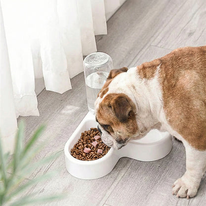 Smart Pet Solutions | Automatic Pet Feeder with Space-Saving Design ? 2-in-1 Feeder and Water Dispenser for Convenient Hydration 1