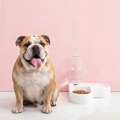 Smart Pet Solutions | Automatic Pet Feeder with Space-Saving Design ? 2-in-1 Feeder and Water Dispenser for Convenient Hydration 3