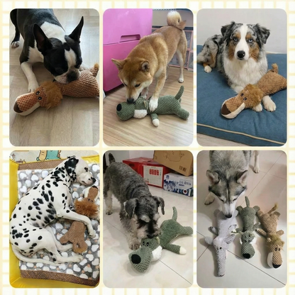 Ultimate_Toy_Variety_Pack___Engaging_Dog_Toys_with_Durable_Design___Stimulate_Playtime_for_Active_Dogs_1