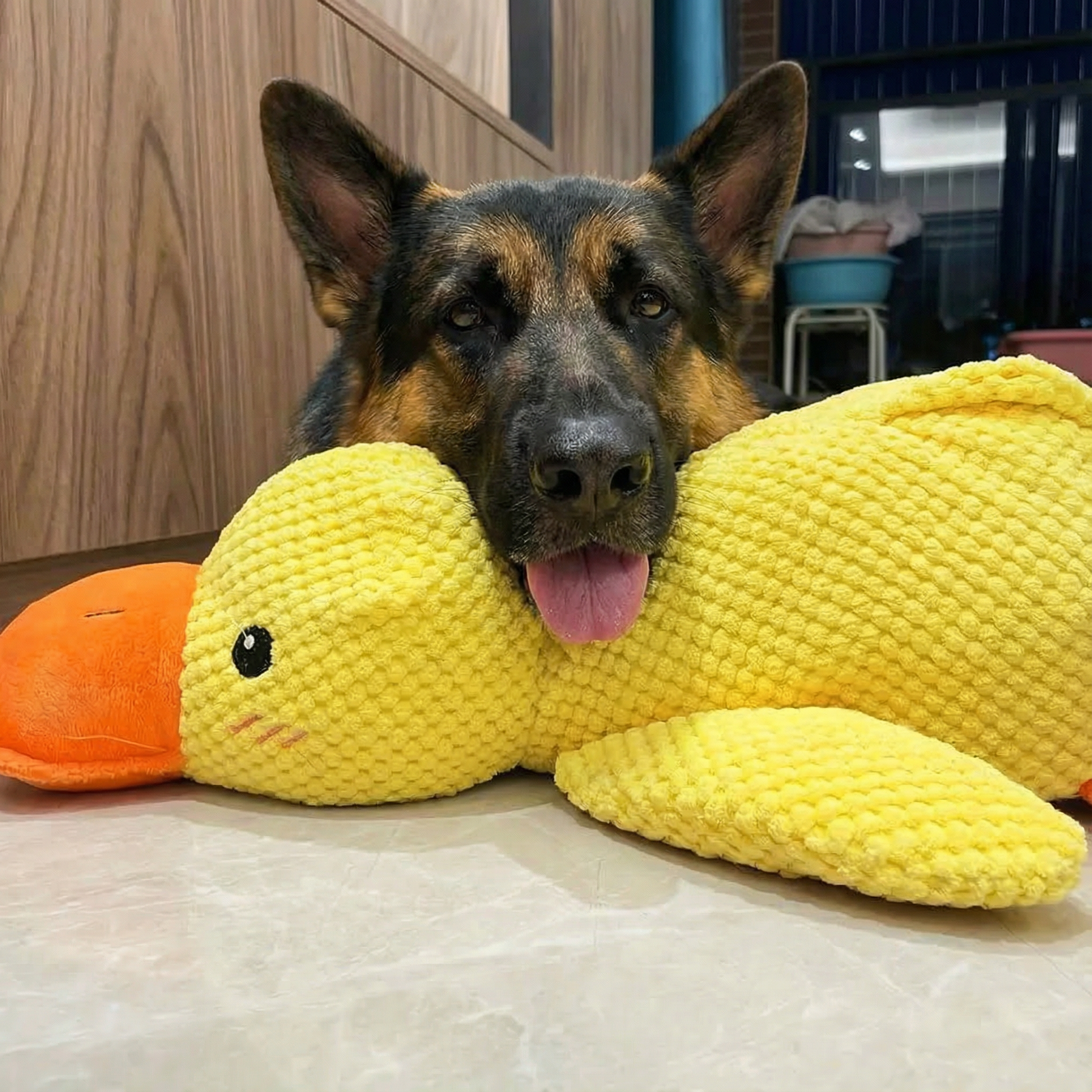 Ultimate_Toy_Variety_Pack___Engaging_Dog_Toys_with_Durable_Design___Stimulate_Playtime_for_Active_Dogs_2